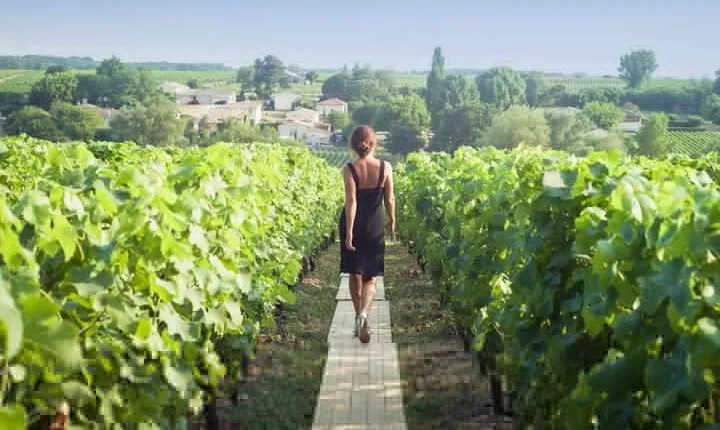 Discover The Cellars in The Heart of The Countryside in Champagne