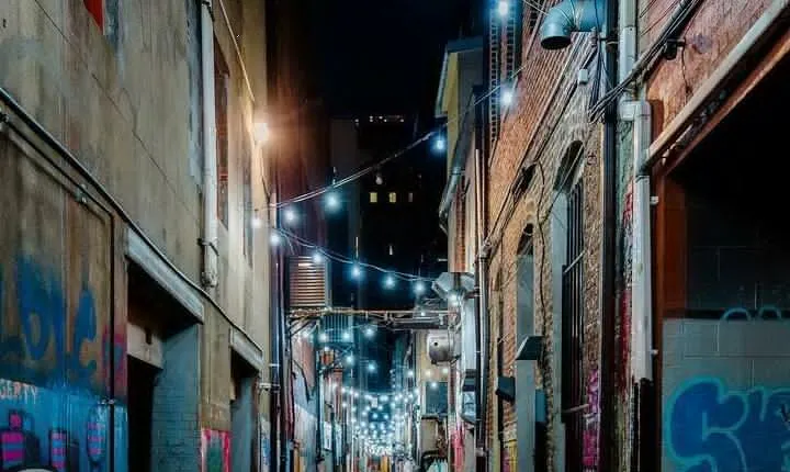 Downtown Knoxville Hidden Tour w/ Ice Cream, Coffee & Tennessee River Gems