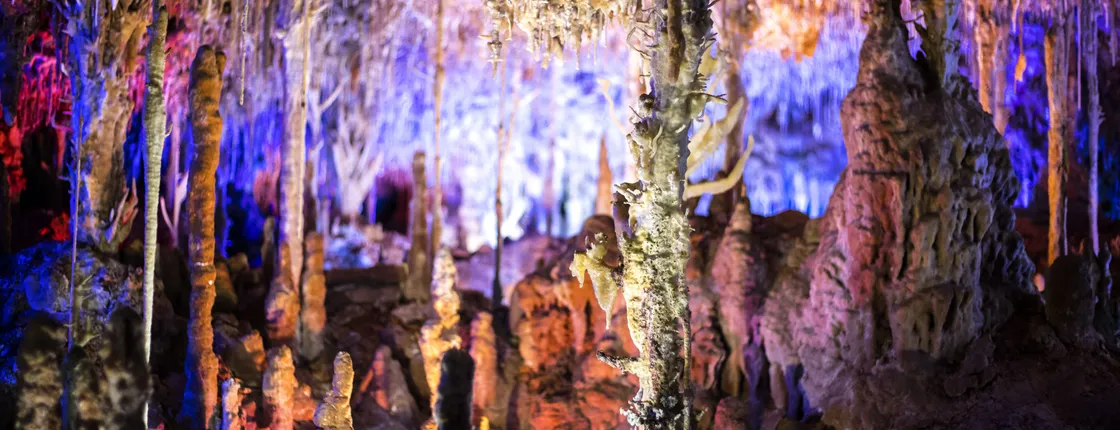 Majorca Hams Caves Ticket
