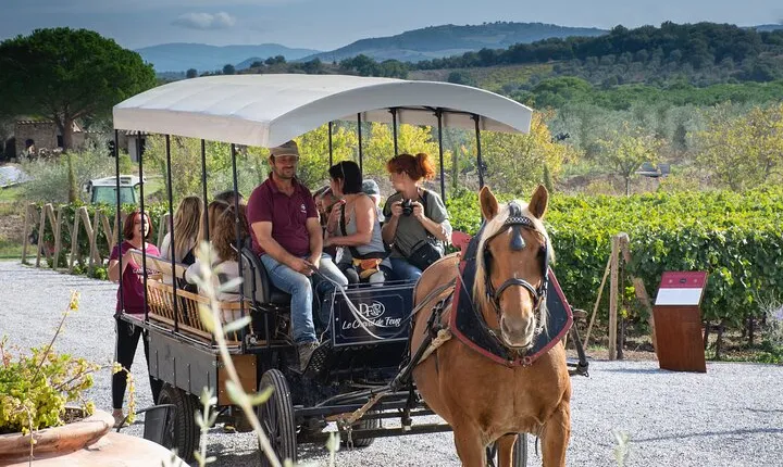 Exclusive Suvereto tour from Florence: Land of Elisa Bonaparte