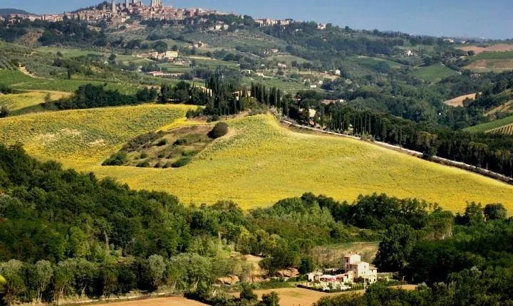 Siena and San Gimignano Day Trip from Rome