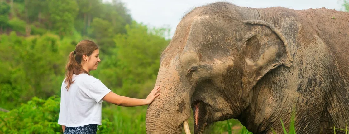 Overnight Elephant Sanctuary Experience