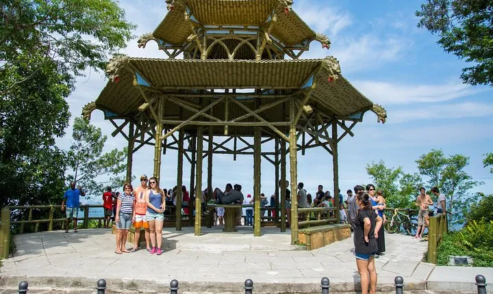 Private Tour: Tijuca National Park with a Photographer