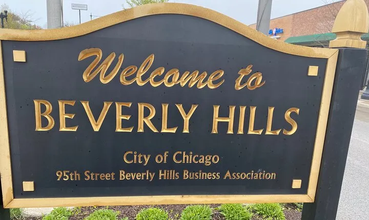 Small-Group Tour of Chicago Neighborhoods: North and South Side