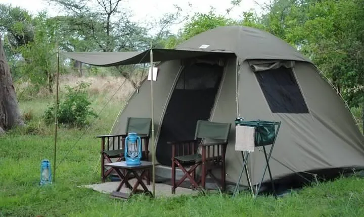 2 Days Camping Safari, Lake Manyara & Ngorongoro Crater