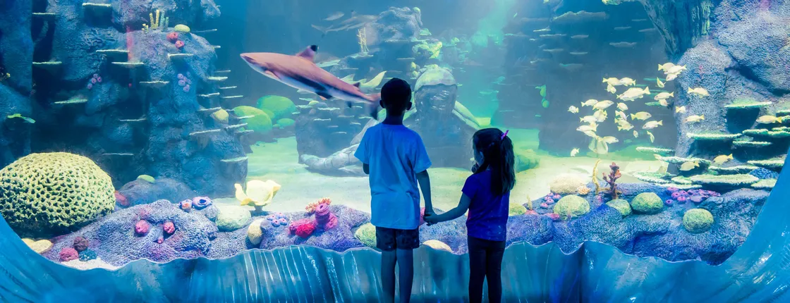 Sea Life Sydney Aquarium Tickets