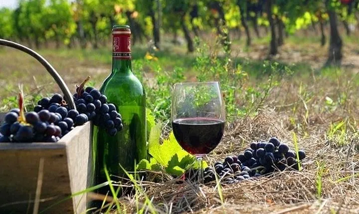 The Nemea wine roads with breathtaking Nafplion private tour