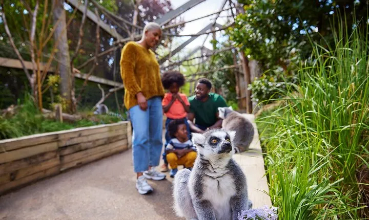 London Zoo Entry Ticket