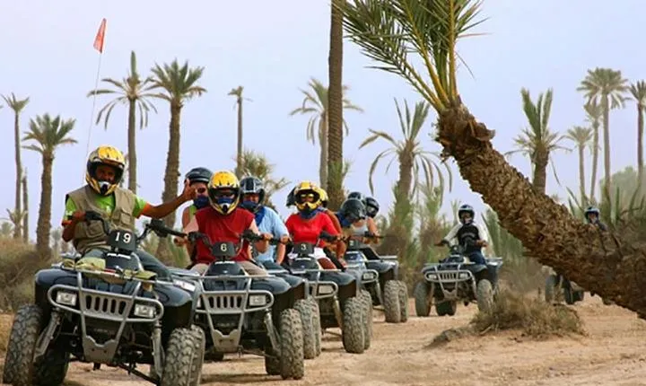 Quad bike and camel ride in the palm grove