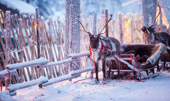 Half Day Private Tour to Santa Claus Village and Rovaniemi