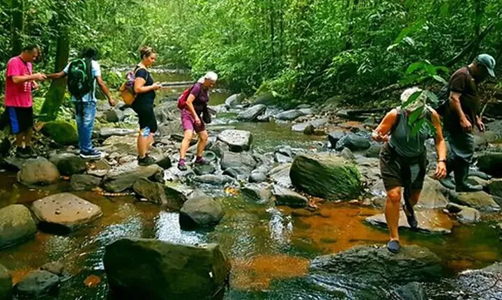 Sinharaja Rainforest Trekking Private Day Trip with Local Lunch