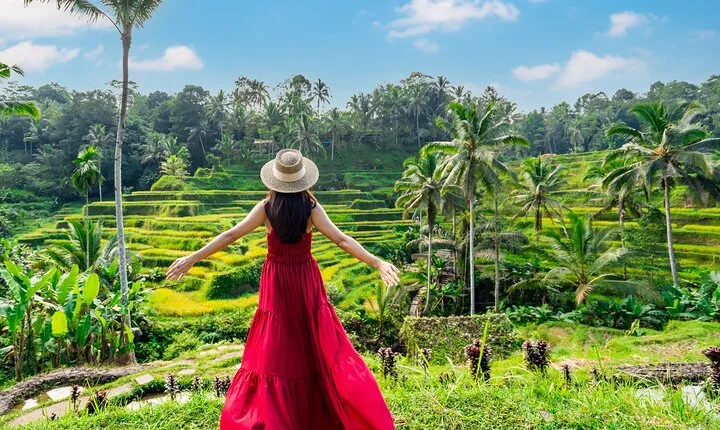 Best of Ubud Private Day Tour
