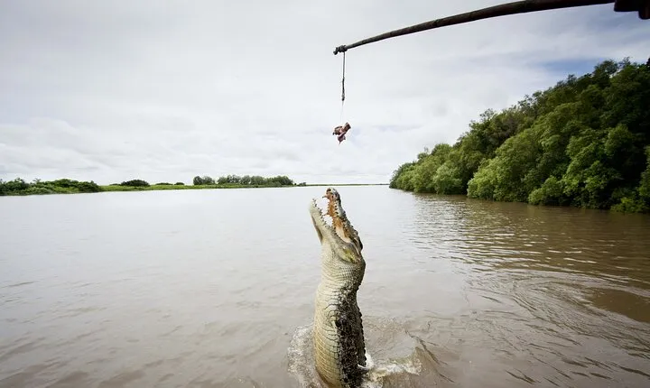 Jumping Crocodile Cruise, Aboriginal Culture Tour & Berry Springs