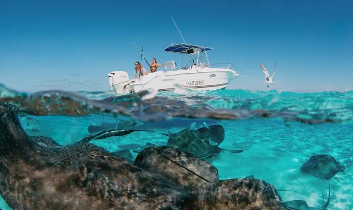 Private Boat Charter Snorkeling Stingray City or Bio Bay