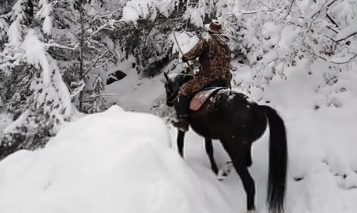 1 Hour Waterfalls Canyon Private Horse Riding in Smolyan