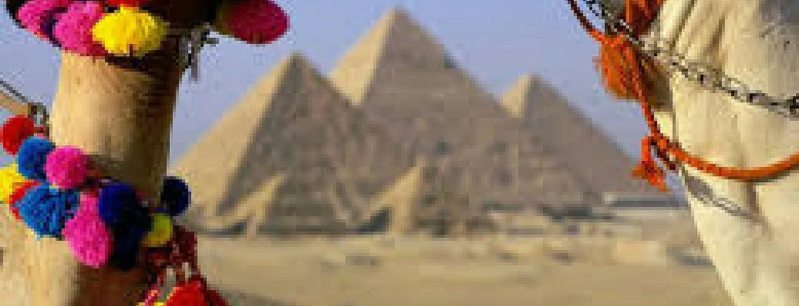 Cairo : Giza Pyramids , Sphinx, Saqqara & Dahshur Full-Day Private Tour
