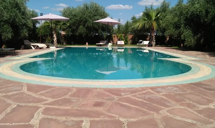 Day pool lunch and camel around Marrakech