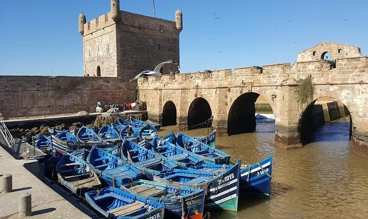Private day trip from Marrakech to Essaouira