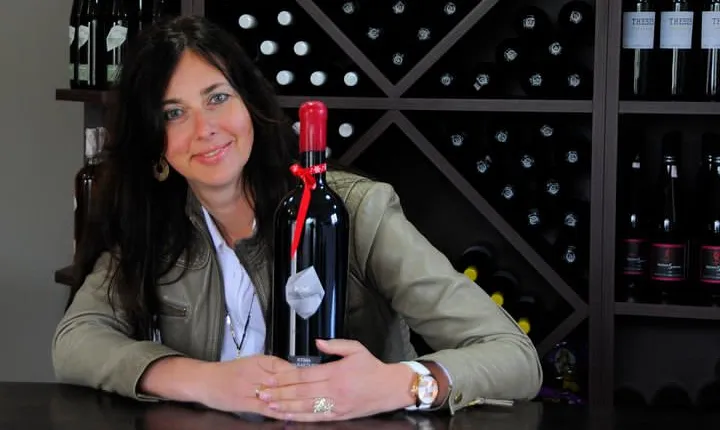 Wine Trails Private Tour/ Nemea visit 3 wineries from Athens or Nafplion (10 h)