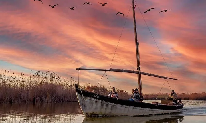 Albufera Natural Park with a Boat Tour from Valencia