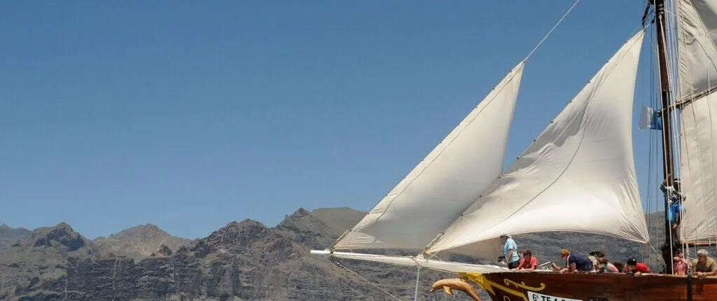 Los Gigantes Flipper Uno dolphin and whale-watching cruise