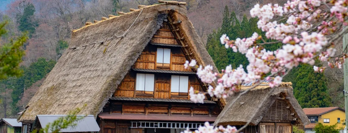 Shirakawago and Kanazawa guided day tour from Kanazawa