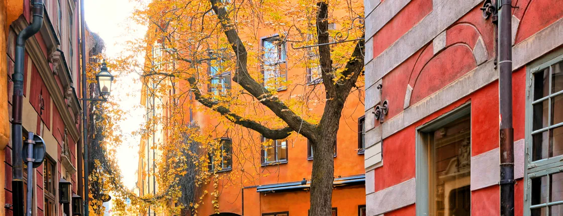 Stockholm SoFo E-bike tour