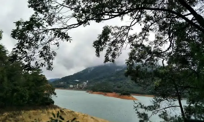 Liuxihe National Forest Park Private Day Tour from Guangzhou