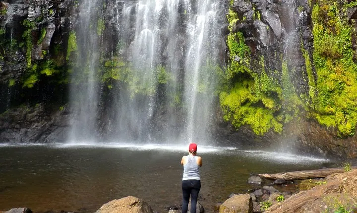 Materuni waterfall and Coffee tour