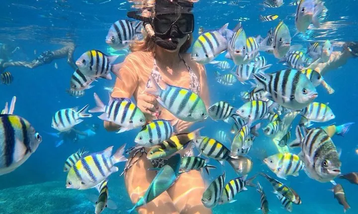 Bali Blue Lagoon Snorkeling - Lunch and Transport All Inclusive
