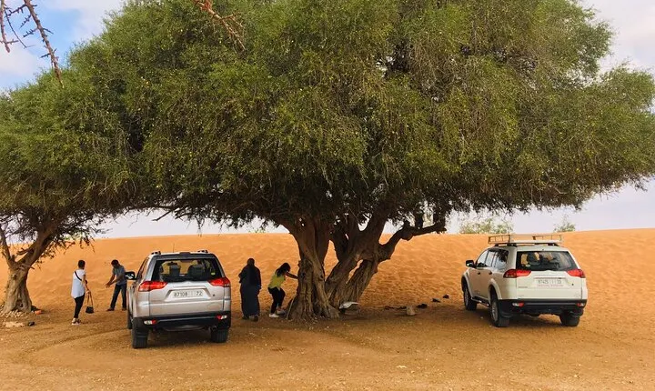 Sahara trip + Tiznit silver city by Jeep