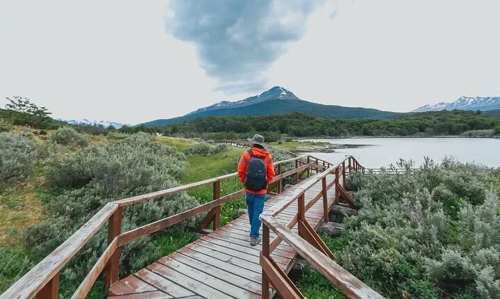 Tour to Tierra del Fuego National Park from Ushuaia