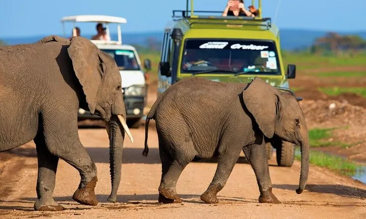 5 Days Amboseli and Tsavo West National Park Wildlife Safari