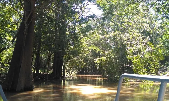 4 Days Amazon Jungle Adventure Tour