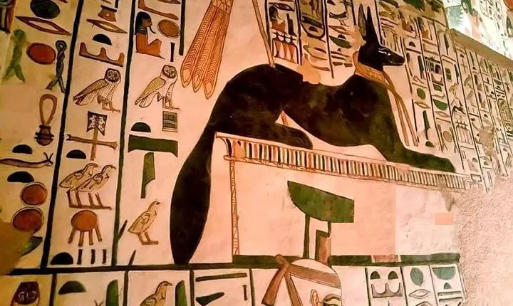 Discover Nefertari Kings and Queens Valley Hatshepsut Temple