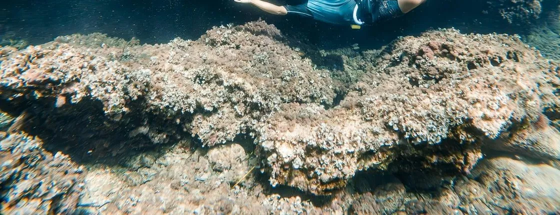 Majorca guided snorkelling tour at Sea & Natural Pool Discovery with Eco Island Adventure with transfer