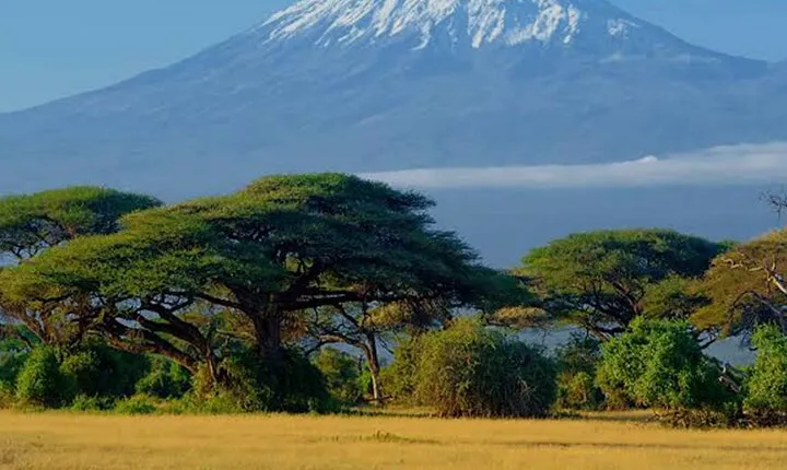 6 Days Kilimanjaro hike