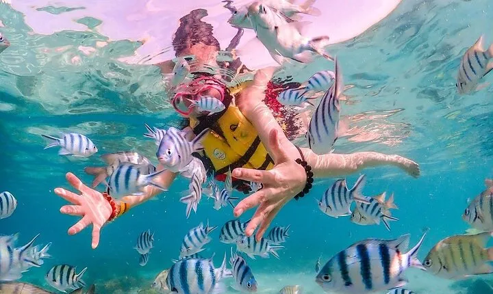 Experience Pattaya Tour with Water Activities