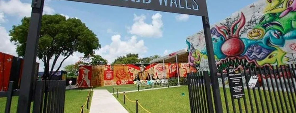 Wynwood walls and street art tour