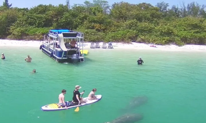 Private Siesta Funship Adventure/Dolphin Cruise Sandbar Stops 