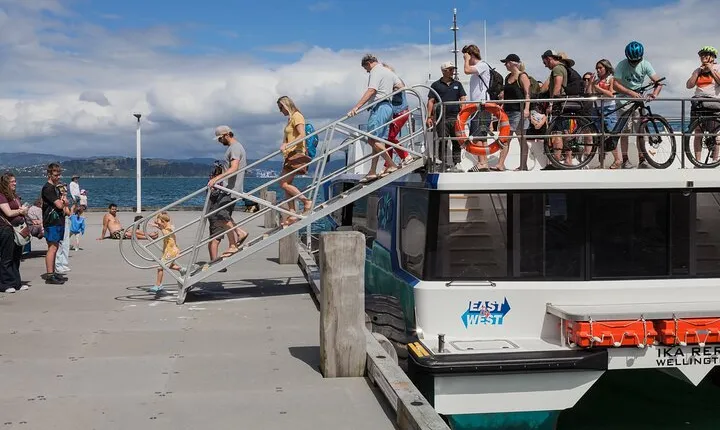 Wellington: Return Ferry Ticket to Days Bay