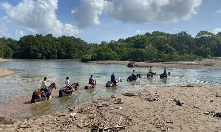 2h 1/2 HORSEBACK RIDING TOUR