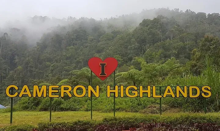 Cameron Highlands Amazing Day Trip Tour with Local Lunch