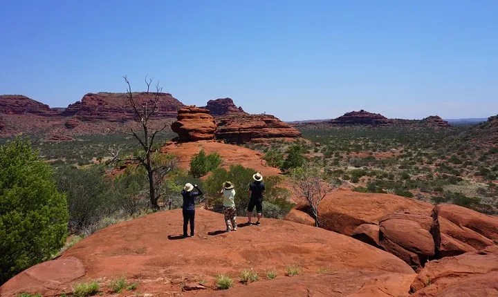 Palm Valley and Hermannsburg 1 Day 4WD Tour