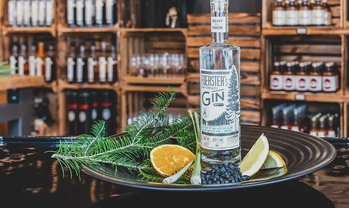 One hour gin experience course