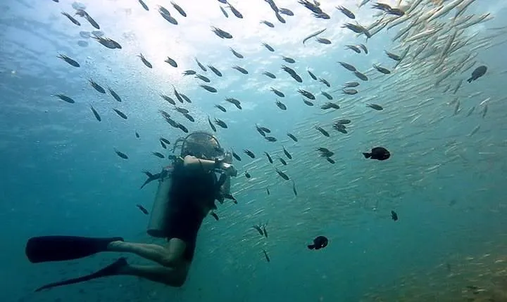 Diving at Koh Chang, daytrip with 2 dives