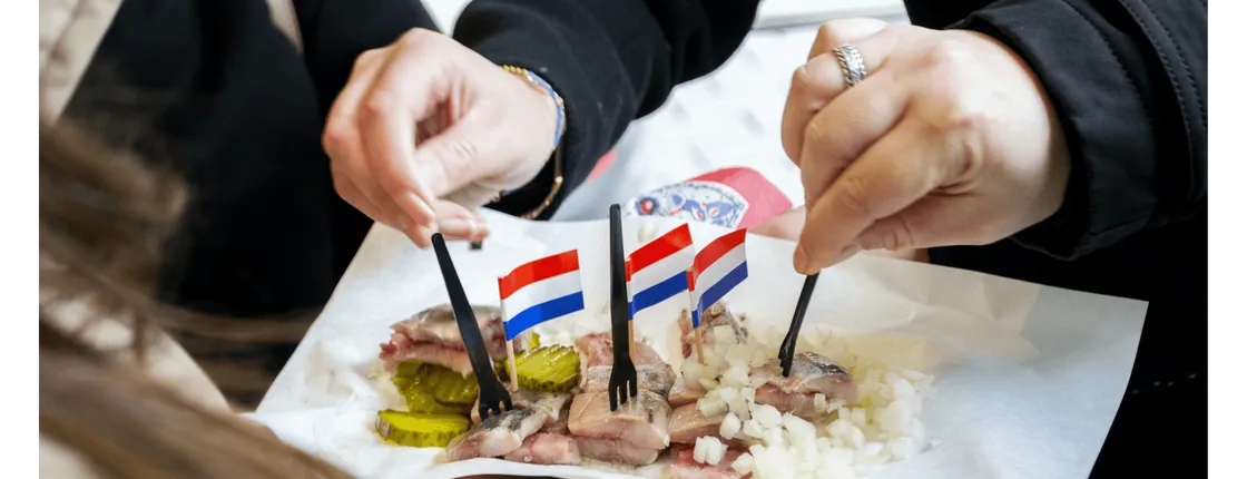 Private food tour in The Hague