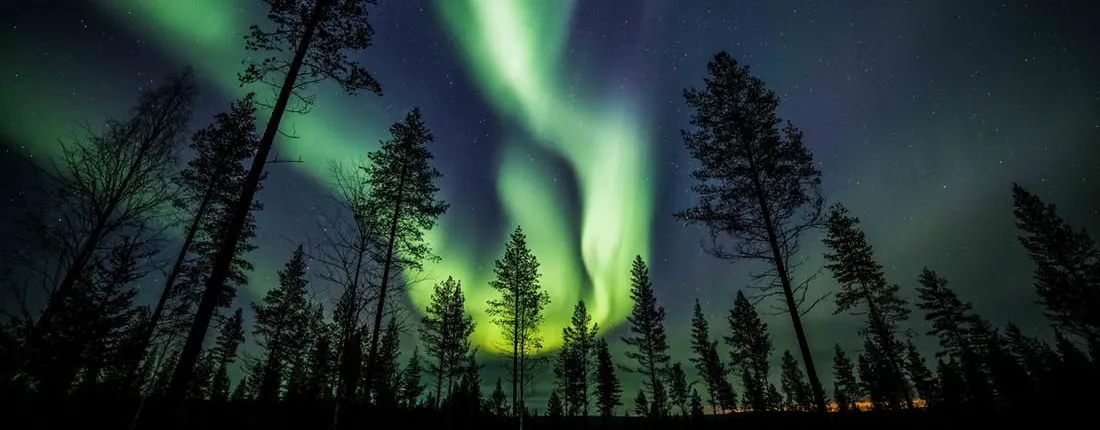 Discover the Northern Lights in a photography tour