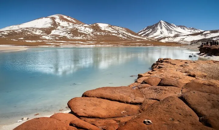 Full Day Tour to Piedras Rojas, Altiplanic Lagoons and Chaxa