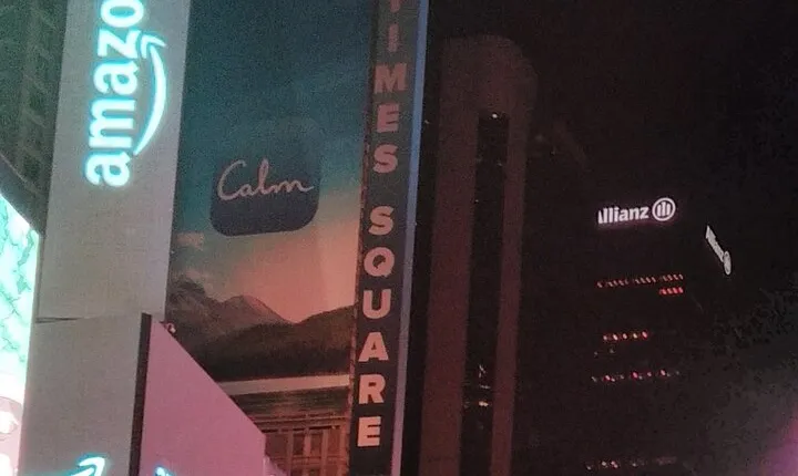 Half Day Guided Evening Walking Tour in Time Square, New York